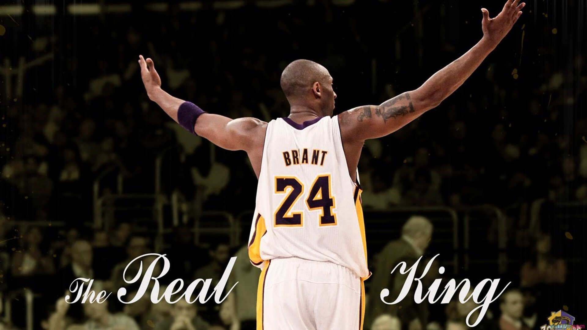 新规则预设：未来比赛会变得更激烈吗？，未来大赛道